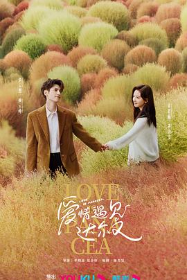 中国入侵美国的海报剧照